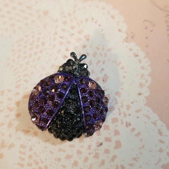 New Cute Purple Beetle Brooch - Picture 1 of 4